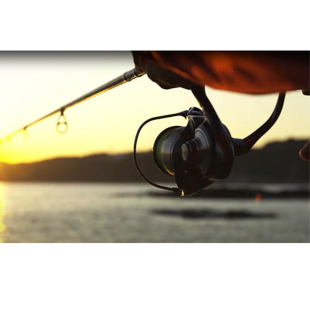 Daiwa 24 Certate LT 3000D